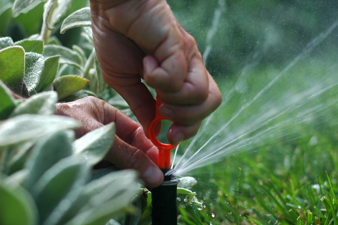 Adjusting a sprinkler head, Jacksonville FL